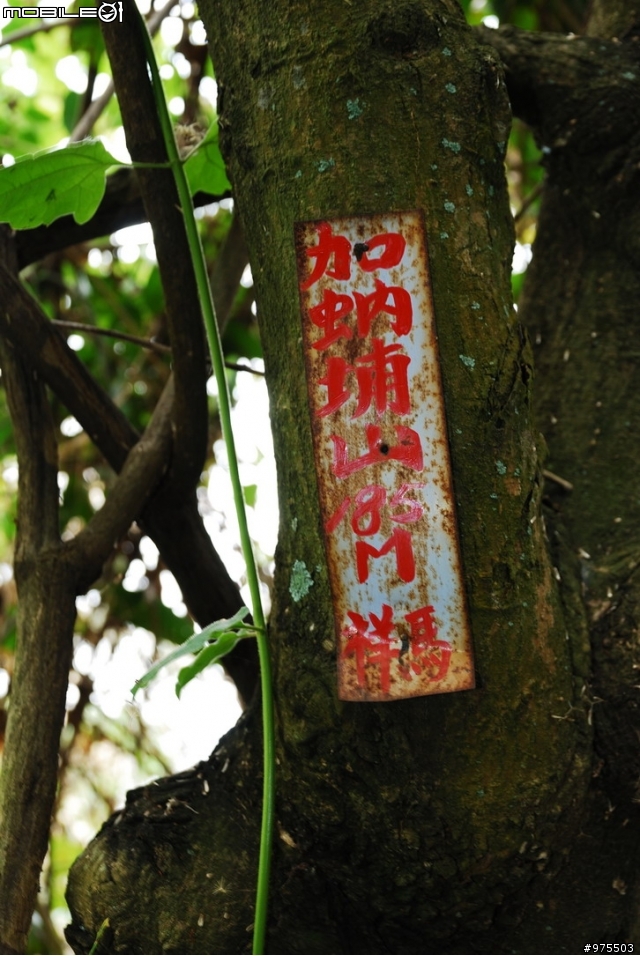 屏東沿山部落輕鬆遊
