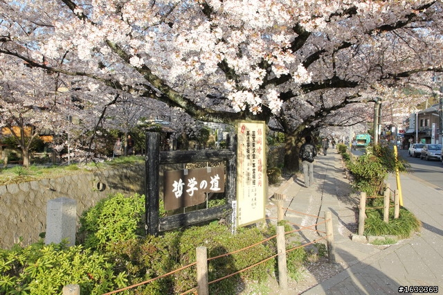 【遊記】關西賞櫻自由行