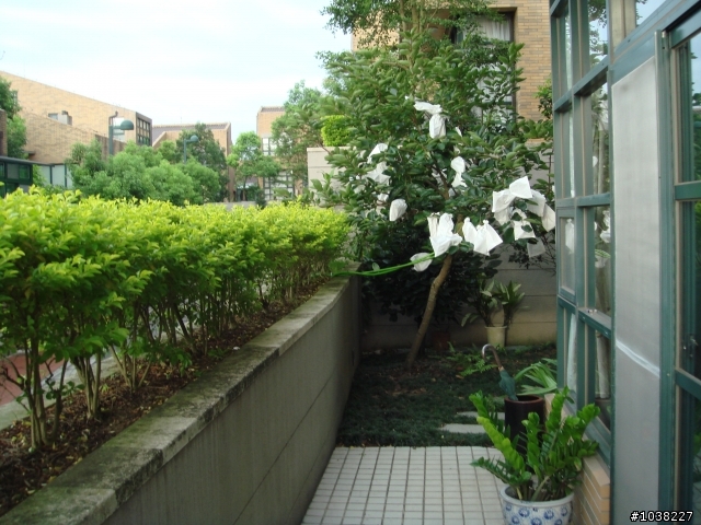 我家之恐怖花園小改造!!