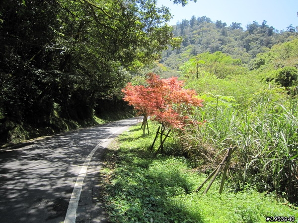小藍GTR衝北橫訓車兜風遊