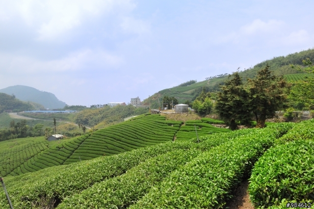 勤能補拙之奮力向上篇(台18與21連線春騎之嘉義到阿里山)