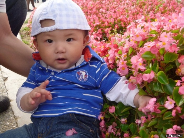 如果要當全職的家庭主婦(帶小孩)每月的最低生活費大約需要多少呢?