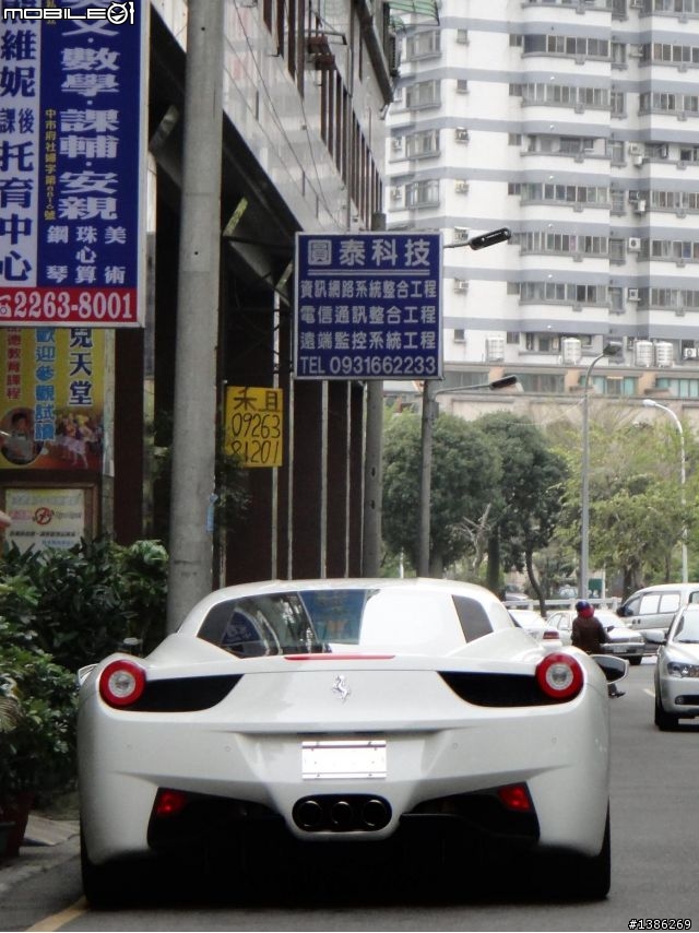 家門口驚見白馬