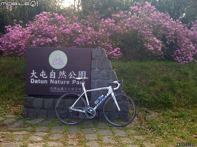 Rabobank 環義小子成軍