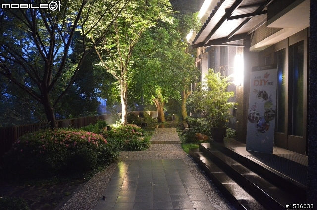 開著Luxgen SUV到三峽大板根紀錄多種板根植物,加映三峽老街。