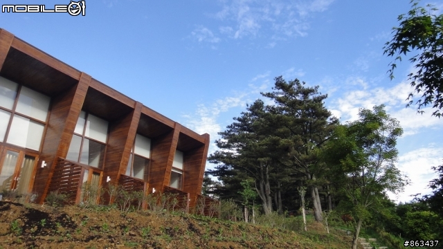 2011_MAY_新中橫,合歡山,梨山,四日遊