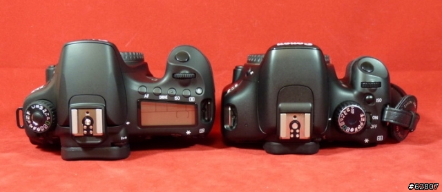 我這一年來的錢井深歷程~~~(60D入手雙機流)
