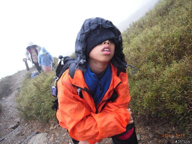 「心得」意外的塔塔加完賽之旅~~原本我就想偷懶!