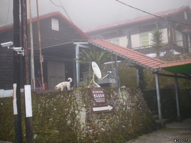能?不能?翻越台灣的屋脊,單車能高越嶺!2011/04/15-16,完整遊記!