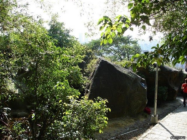 二小時走完虎豹獅象