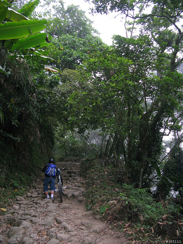 超A級DH下坡道之變態大凍山林道與高速枕頭山下坡道