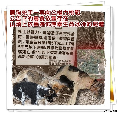 全面緝拿‧懸賞10萬揪出柴山毒狗屠夫