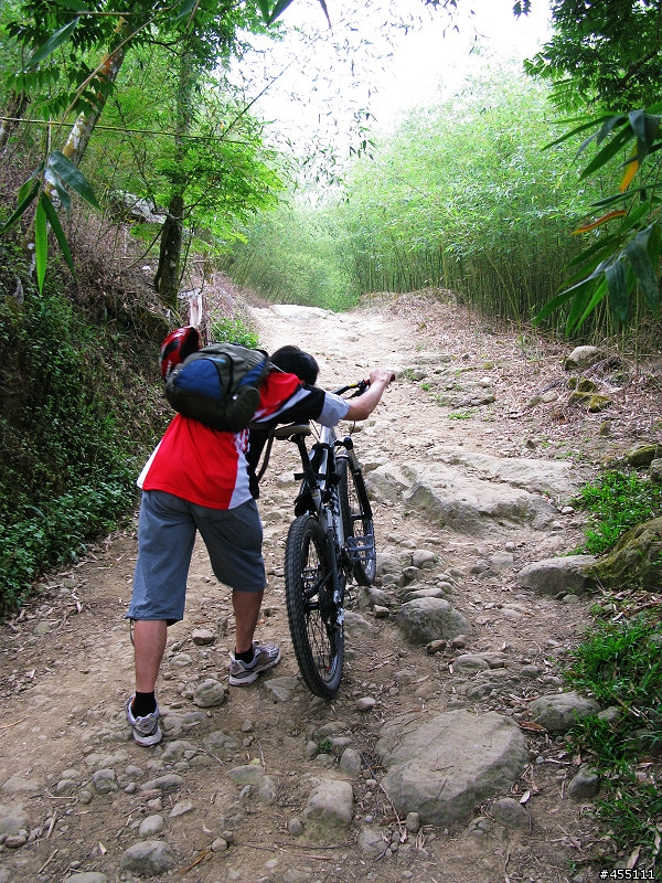 超A級DH下坡道之變態大凍山林道與高速枕頭山下坡道