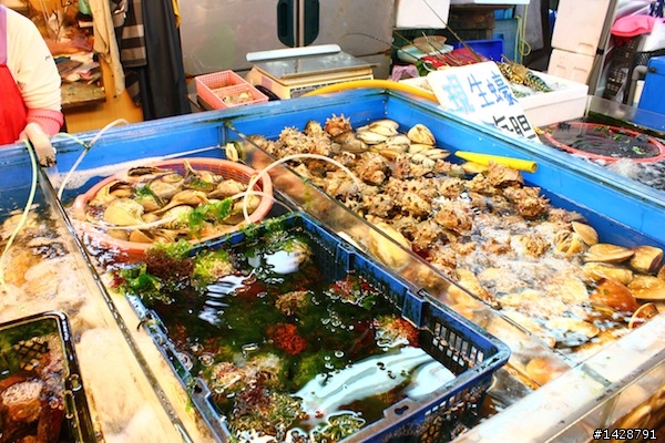 竹圍漁港 現殺海膽、生蠔