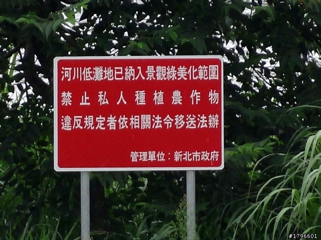 HX100V 120倍變焦
