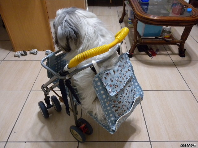 嬰兒車改造寵物推車~拼接版