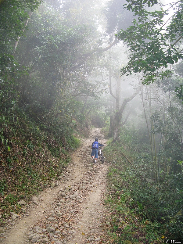超A級DH下坡道之變態大凍山林道與高速枕頭山下坡道