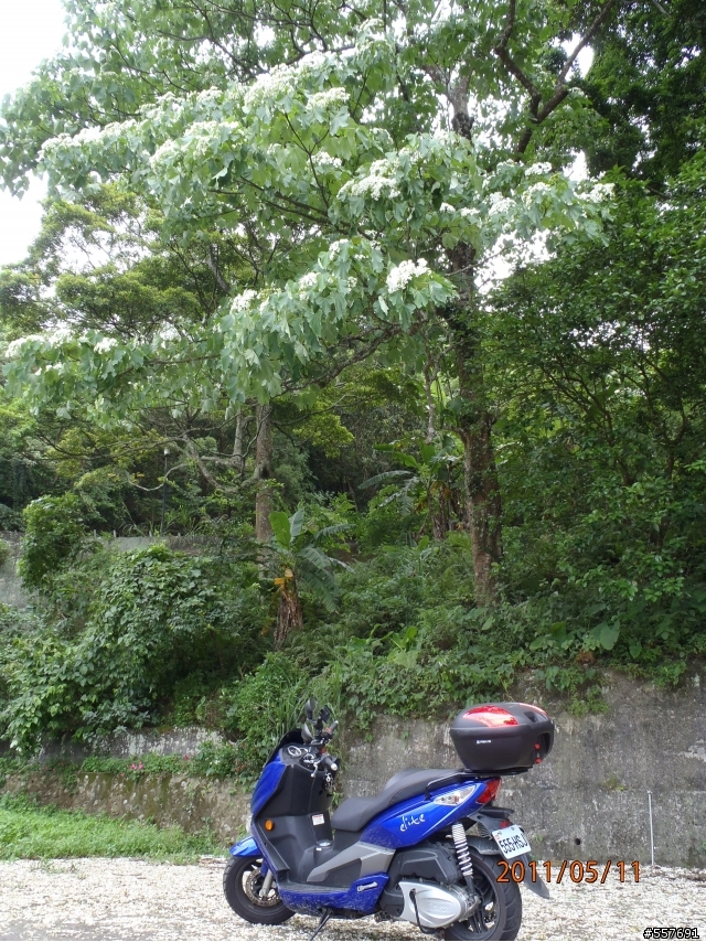 AEON ELITE 250~~~大家現在都跑多少啦~~~關於油心..長風鏡..350套件.....