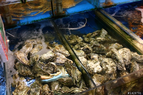 竹圍漁港 現殺海膽、生蠔