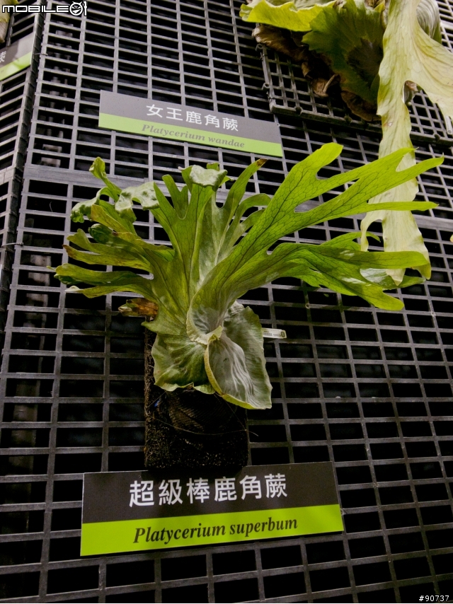 那些 GRD 教我的事 (九個月的新手成長日記)