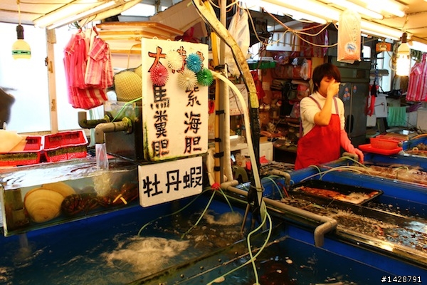 竹圍漁港 現殺海膽、生蠔
