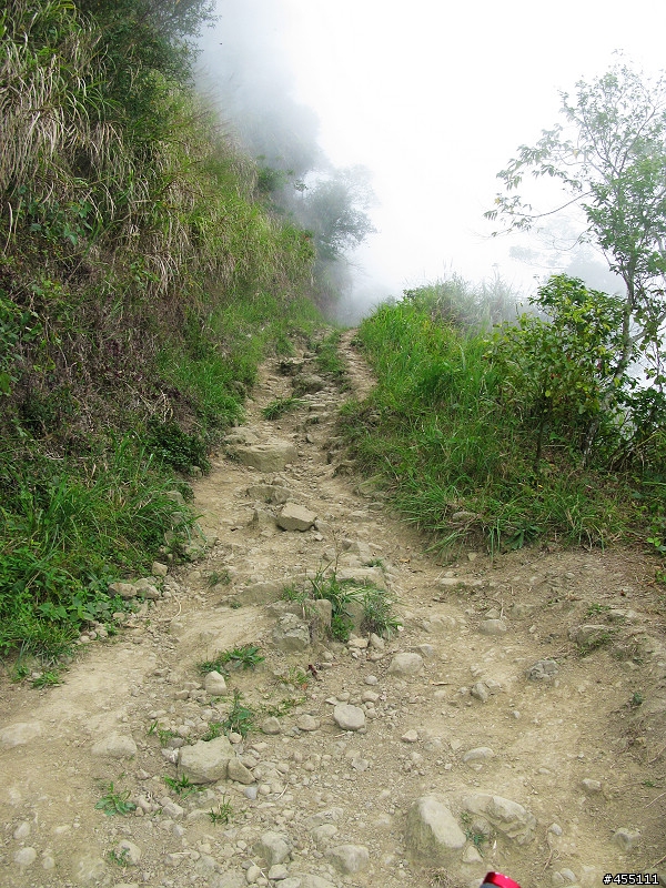 超A級DH下坡道之變態大凍山林道與高速枕頭山下坡道