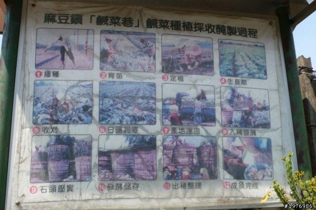 麻豆美食特色一日遊