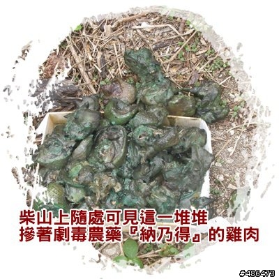 全面緝拿‧懸賞10萬揪出柴山毒狗屠夫