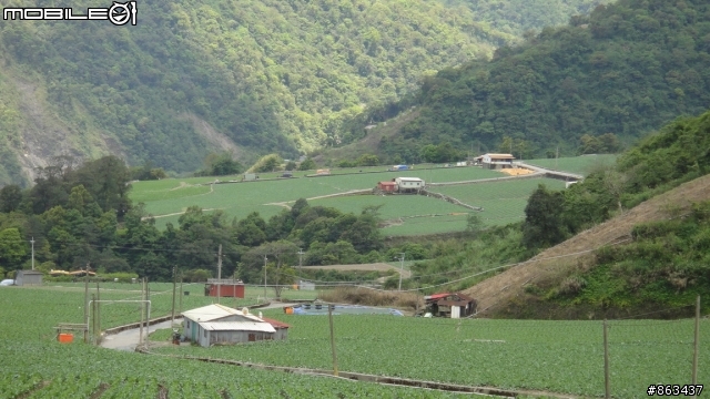 2011_MAY_新中橫,合歡山,梨山,四日遊