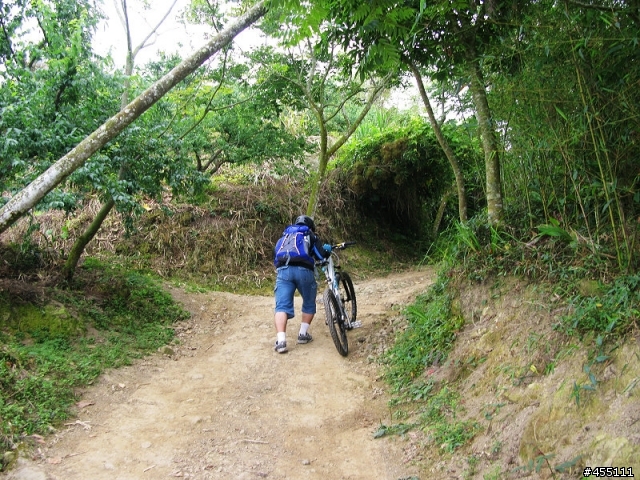 超A級DH下坡道之變態大凍山林道與高速枕頭山下坡道