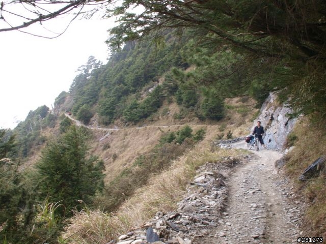 能?不能?翻越台灣的屋脊,單車能高越嶺!2011/04/15-16,完整遊記!