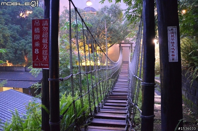 開著Luxgen SUV到三峽大板根紀錄多種板根植物,加映三峽老街。