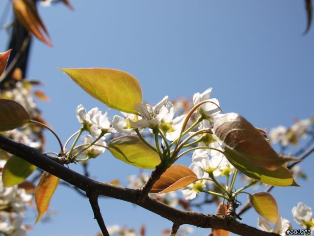 能?不能?翻越台灣的屋脊,單車能高越嶺!2011/04/15-16,完整遊記!