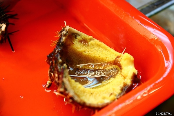 竹圍漁港 現殺海膽、生蠔