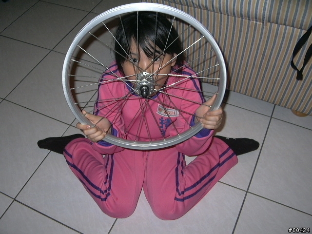 將女兒的DAHON ECO3小折DIY成電動輔助小折(圖超多)