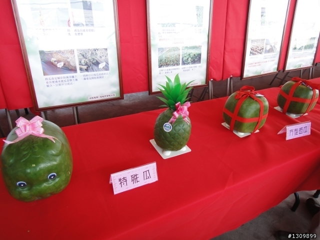 騎遇西瓜節,2011雲林縣二崙西瓜嘉年華