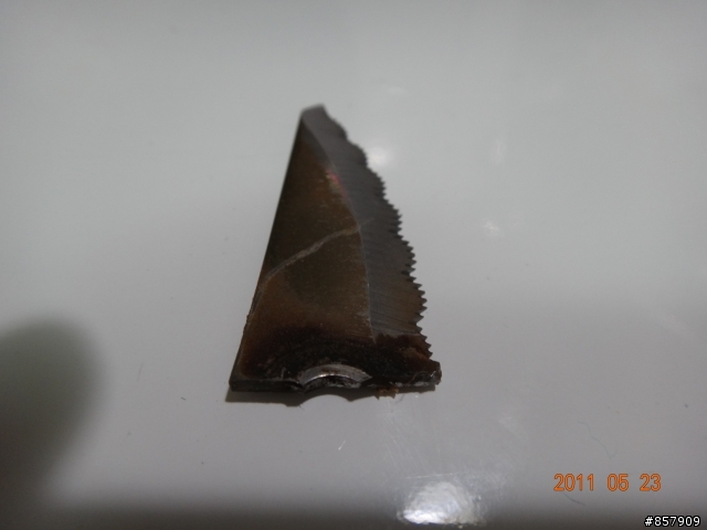 嚇死人的Super mum 果汁機,小命差點沒了
