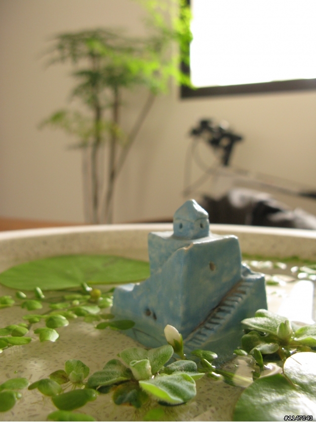 <<開箱文>> 自然。宅