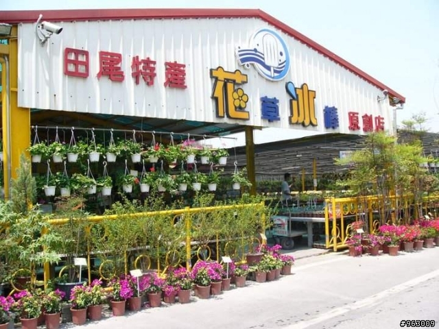 臨時起議的8天7夜無計劃環島