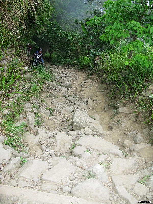 超A級DH下坡道之變態大凍山林道與高速枕頭山下坡道