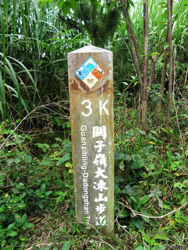 超A級DH下坡道之變態大凍山林道與高速枕頭山下坡道