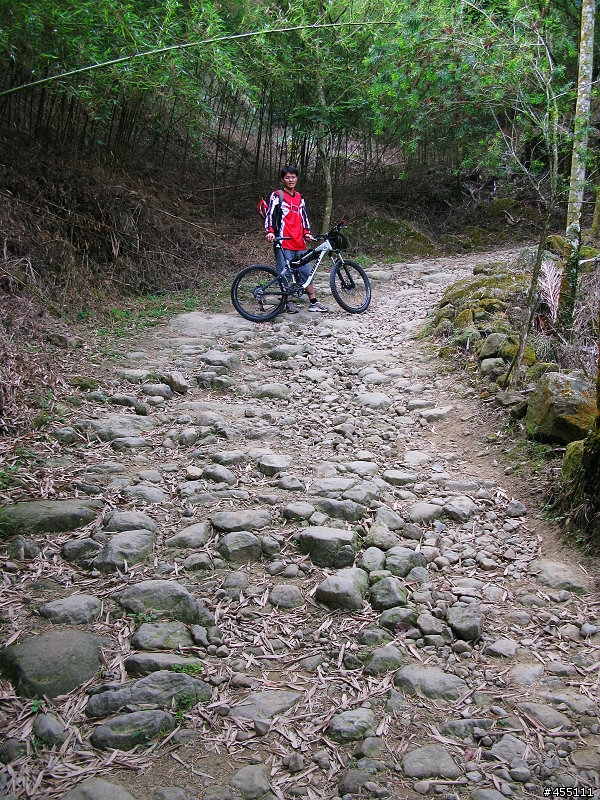 超A級DH下坡道之變態大凍山林道與高速枕頭山下坡道