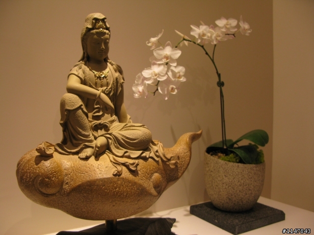 <<開箱文>> 自然。宅