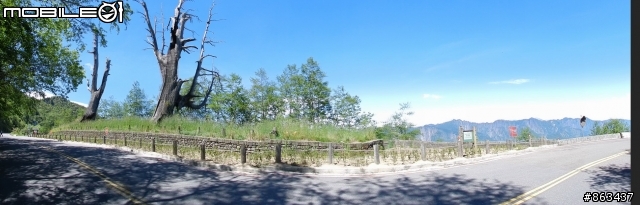 2011_MAY_新中橫,合歡山,梨山,四日遊