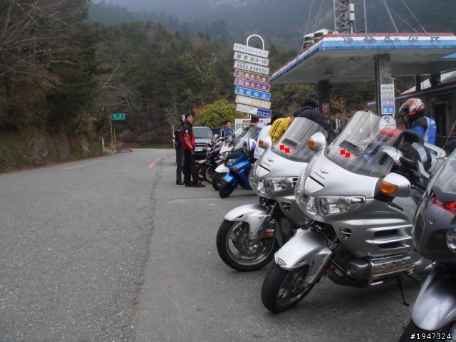 第一次騎大車玩 花、東行