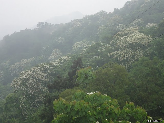 實現環台夢 我的單車環島練習曲