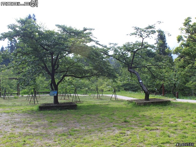 端午連假去山上