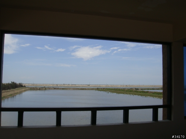 鰲鼓濕地(算是又一個蚊子館嗎)