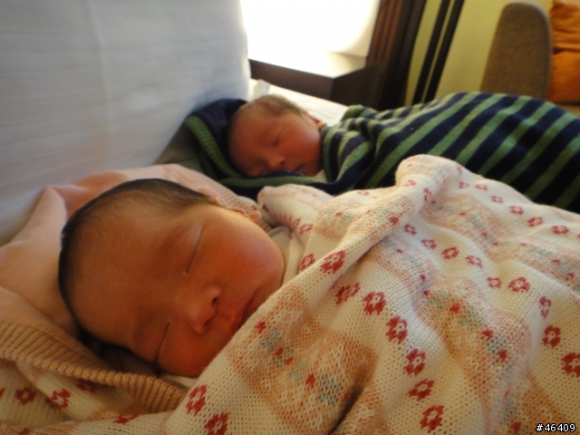 My Twins 我的雙胞胎開箱記事