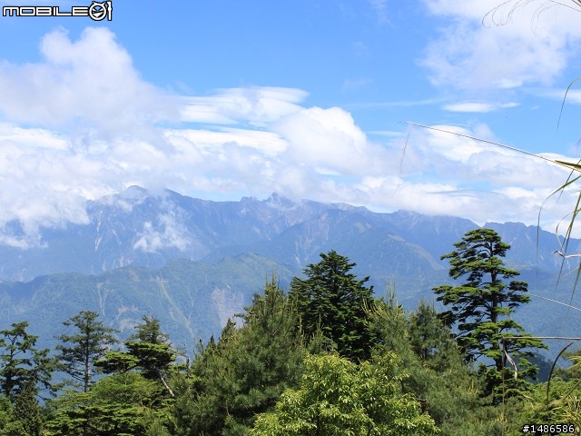 端午連假去山上